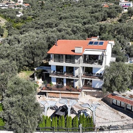 Apartments Villa St. バール エクステリア 写真